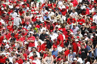 华体会真人体育-体育赛事观众满意度影响因素研究，体育赛事关注度